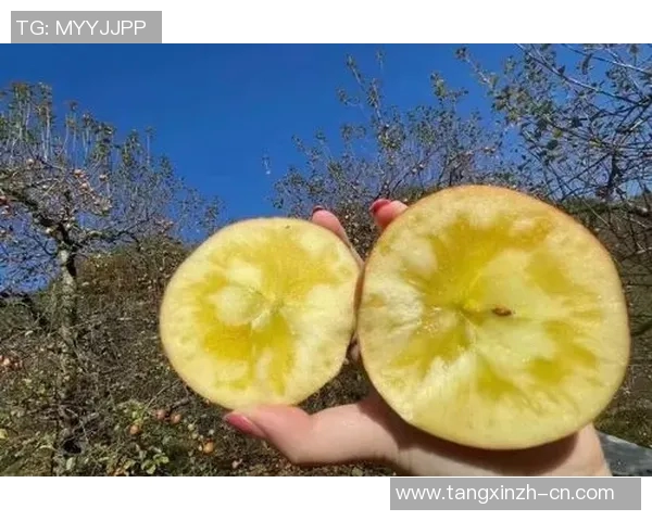 糖心app破解ios-关于糖心app破解iOS系统的探讨- 糖心app破解ios-关于糖心app破解iOS系统的探讨-